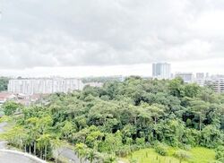 Blk 290G Spring View (Bukit Batok), HDB 4 Rooms #625559221